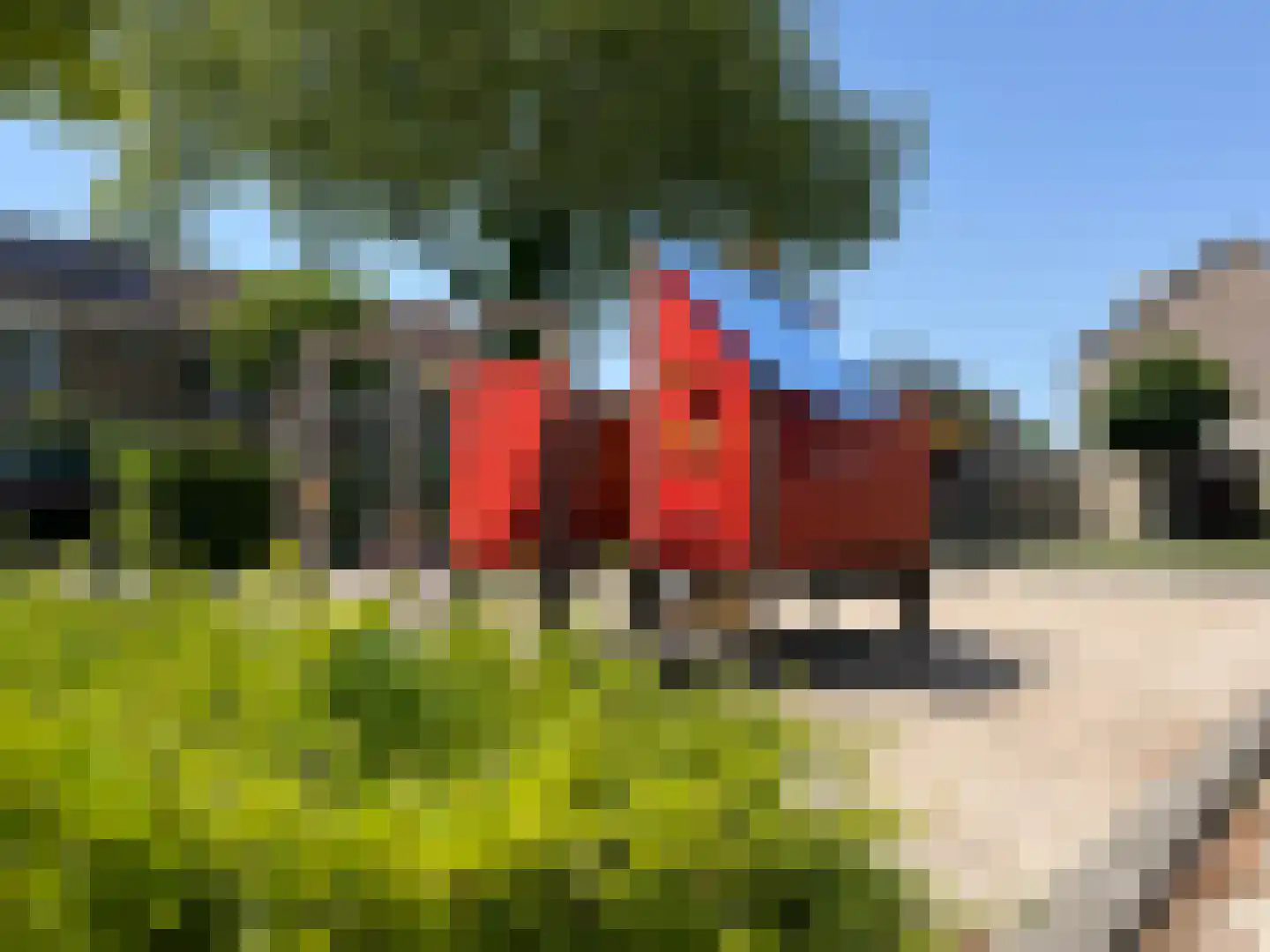 Letterveldweg 60 Borne thumbnail 45