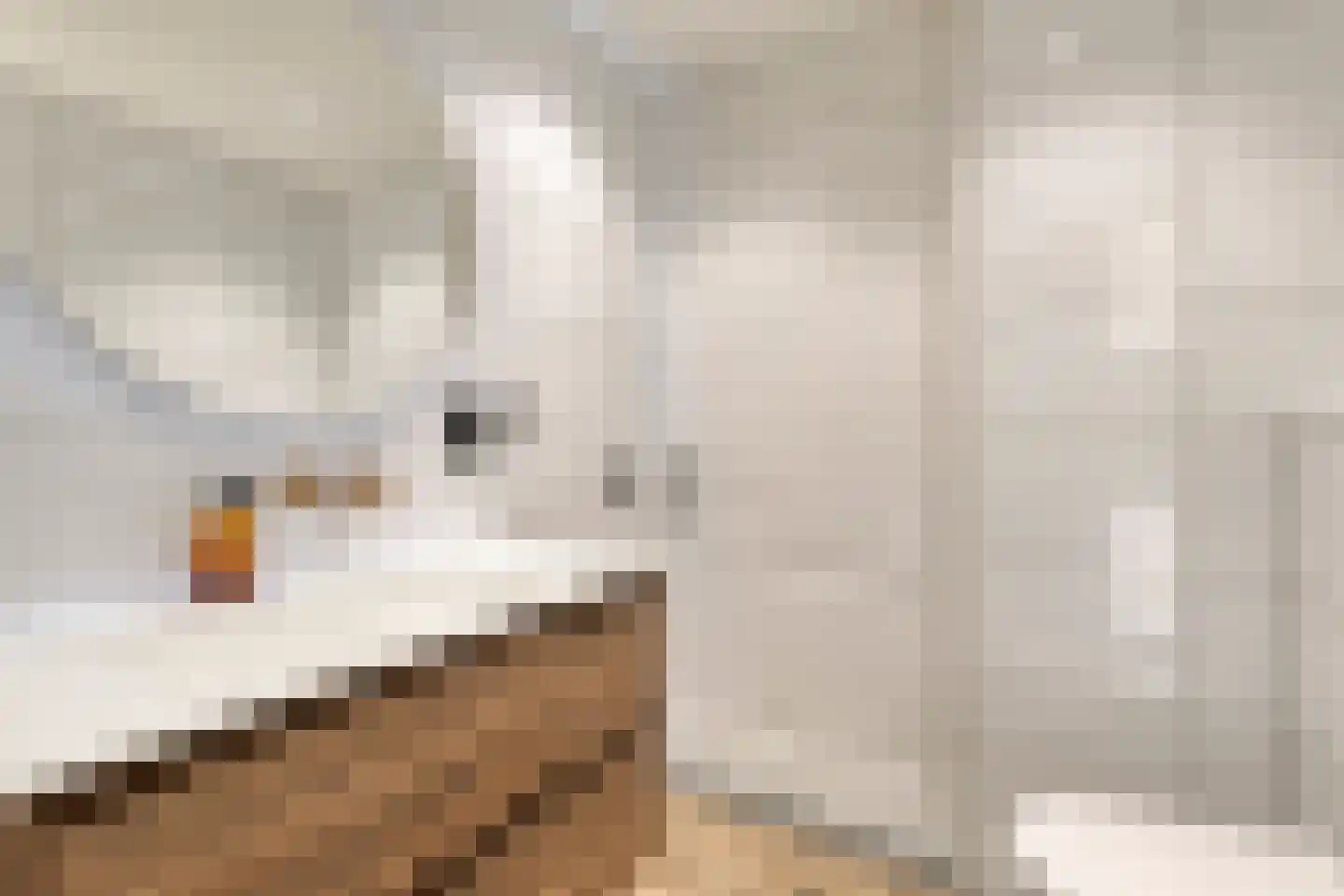 Letterzetterhof 36 Delfgauw thumbnail 20