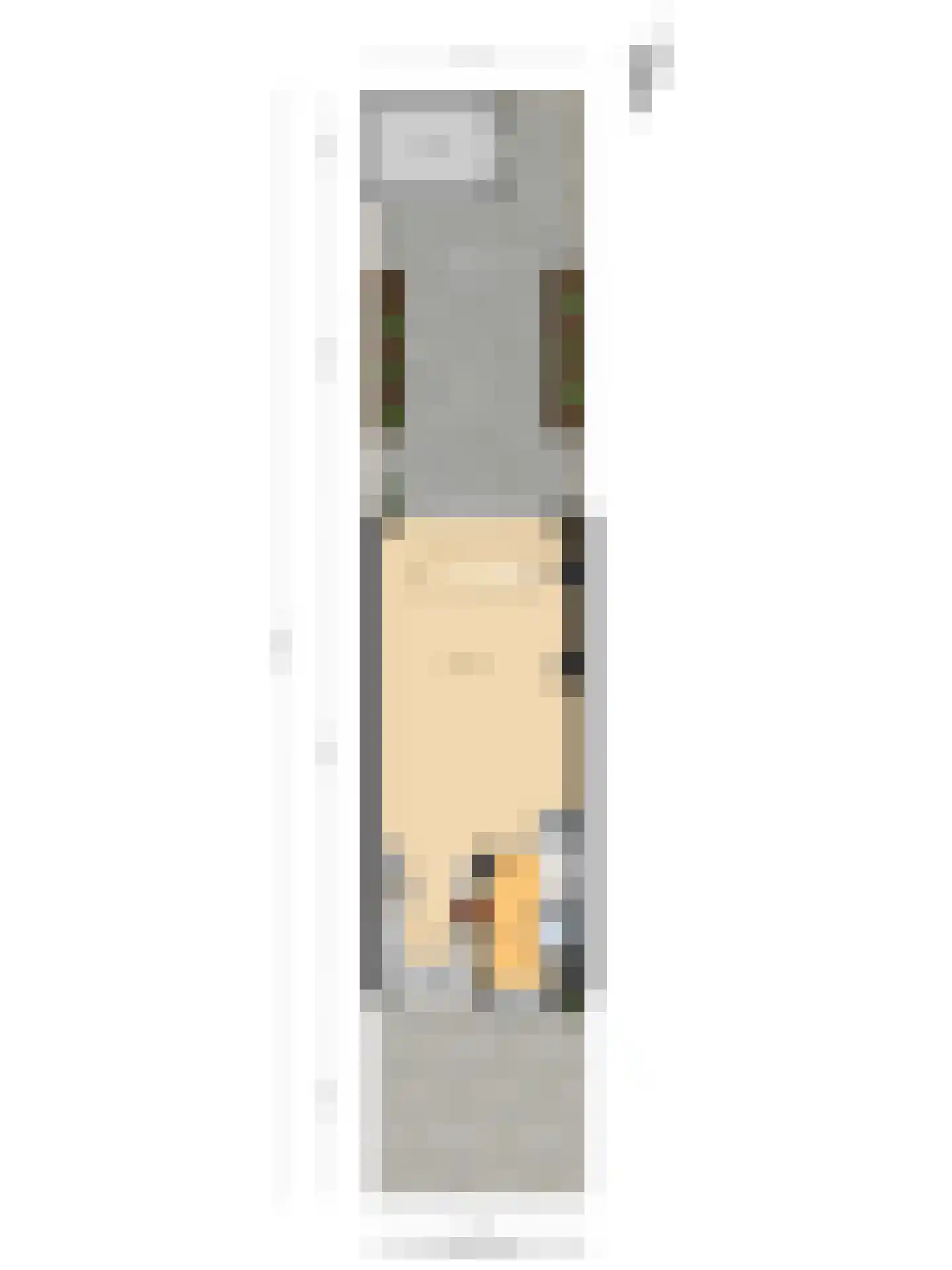 Letterzetterhof 36 Delfgauw thumbnail 35