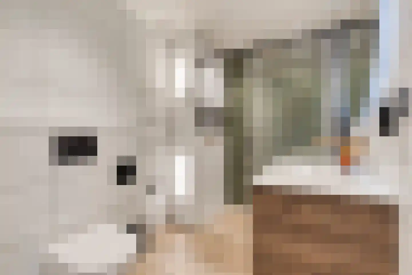 Letterzetterhof 36 Delfgauw thumbnail 4