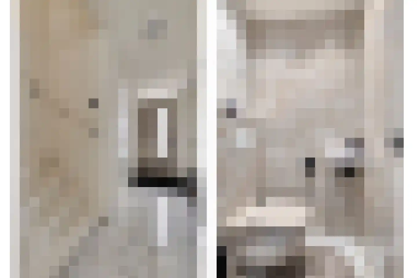 Letterzetterhof 36 Delfgauw thumbnail 6