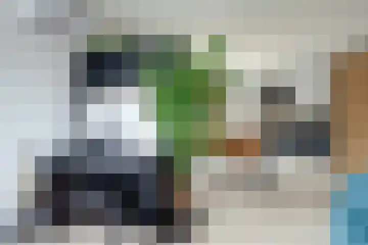 Letzekampe 26 Zuidbroek thumbnail 16