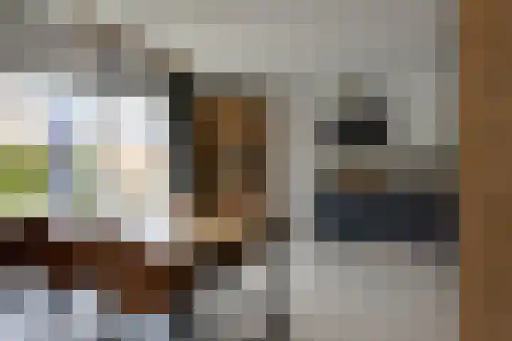 Letzekampe 26 Zuidbroek thumbnail 20