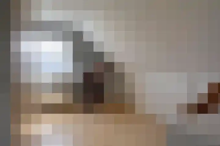 Letzekampe 26 Zuidbroek thumbnail 32