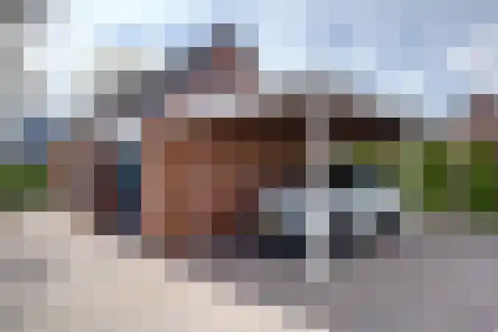 Letzekampe 26 Zuidbroek thumbnail 38