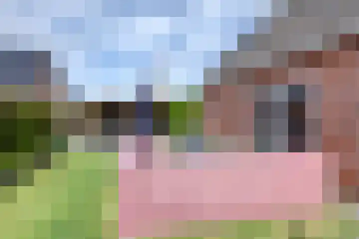 Letzekampe 26 Zuidbroek thumbnail 40