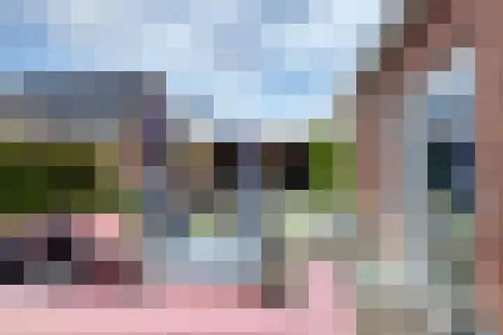 Letzekampe 26 Zuidbroek thumbnail 41