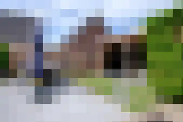 Letzekampe 26 Zuidbroek thumbnail 42