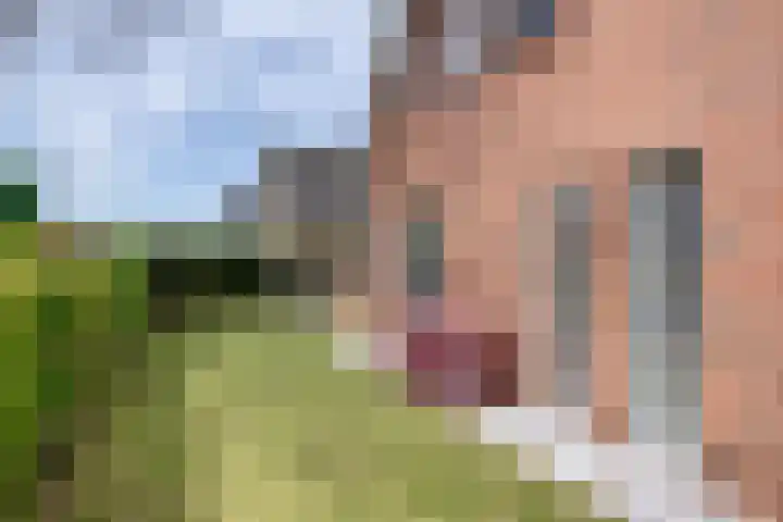 Letzekampe 26 Zuidbroek thumbnail 6