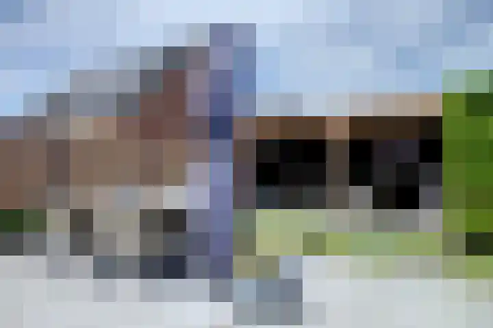 Letzekampe 26 Zuidbroek thumbnail 9