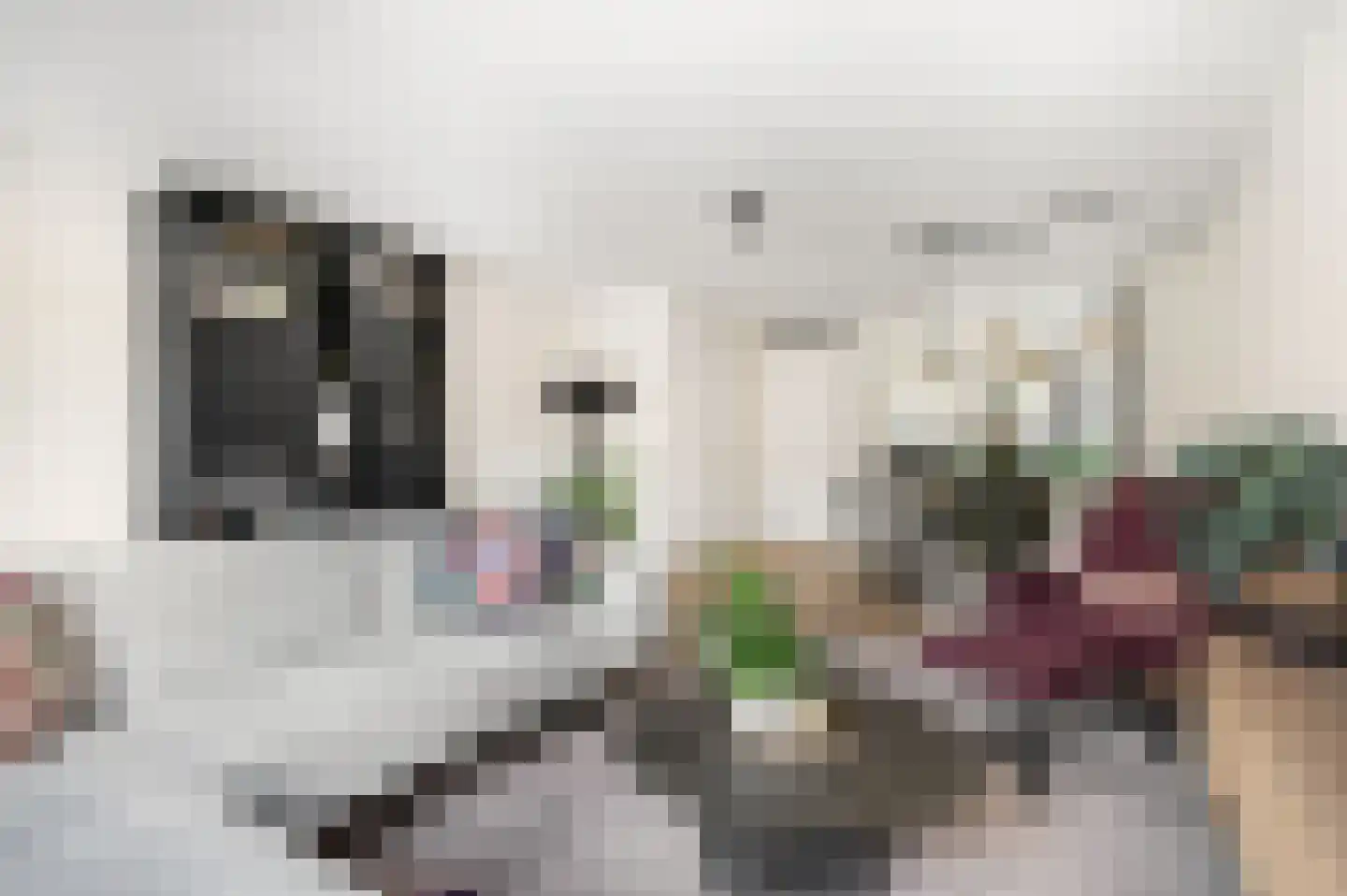 Leudal 101 Ede thumbnail 5