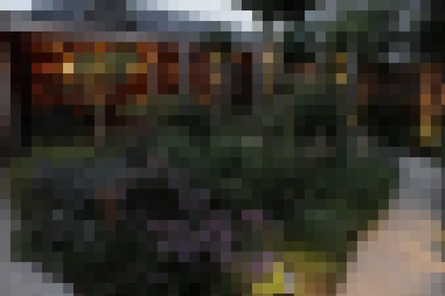Leudal 105 Ede thumbnail 42