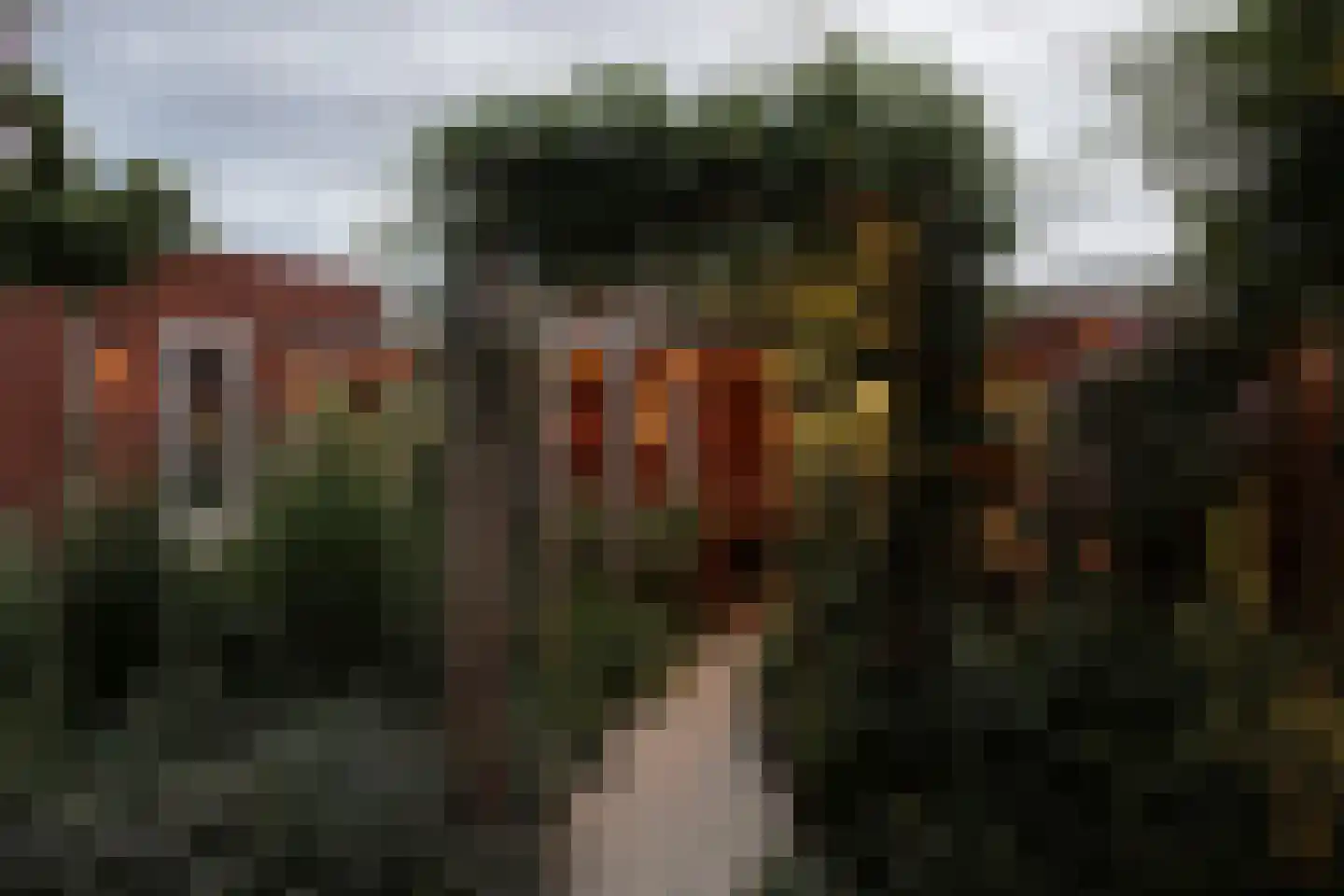 Leudal 105 Ede thumbnail 43