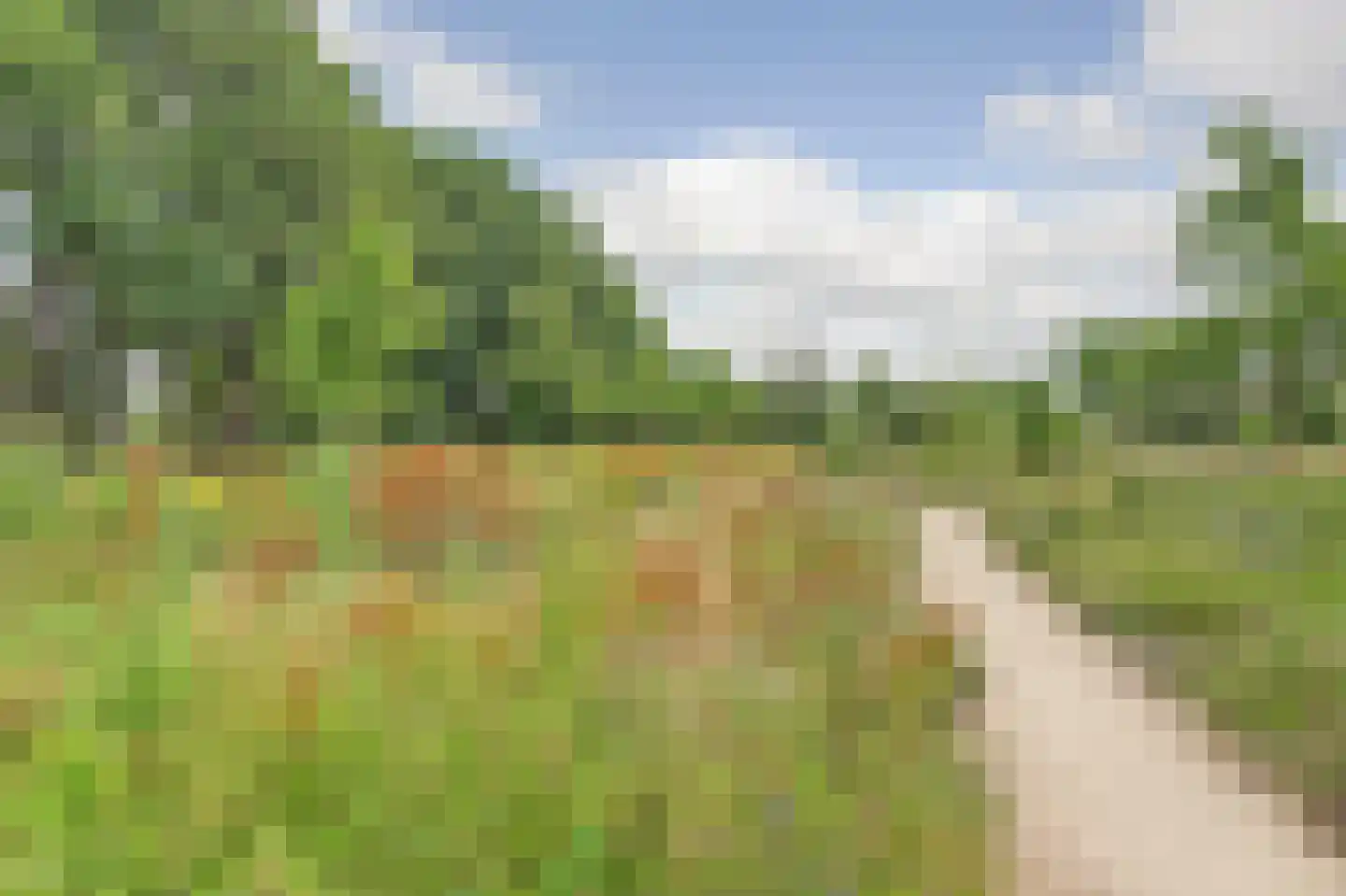 Leudal 105 Ede thumbnail 51
