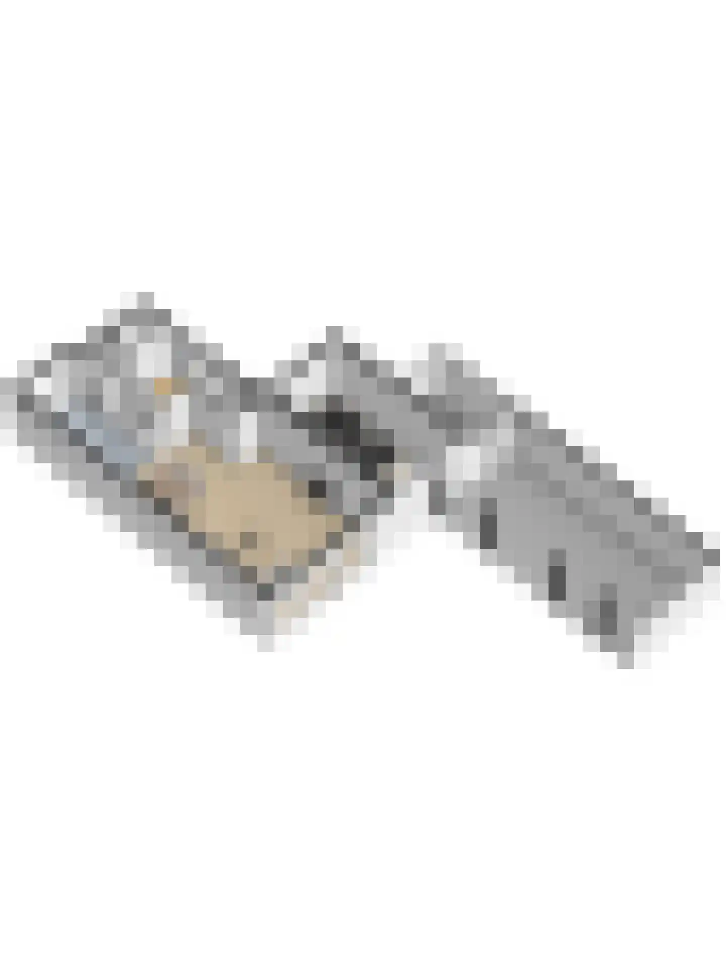 Leudal 105 Ede thumbnail 58