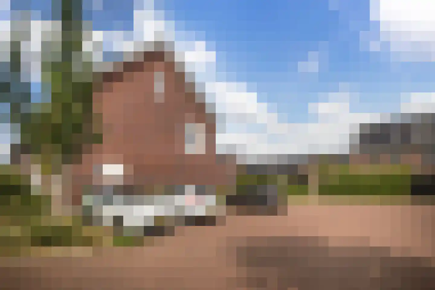 Leudal 12 Ede thumbnail 47