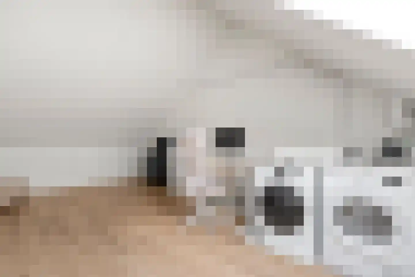 Leudal 141 Ede thumbnail 22