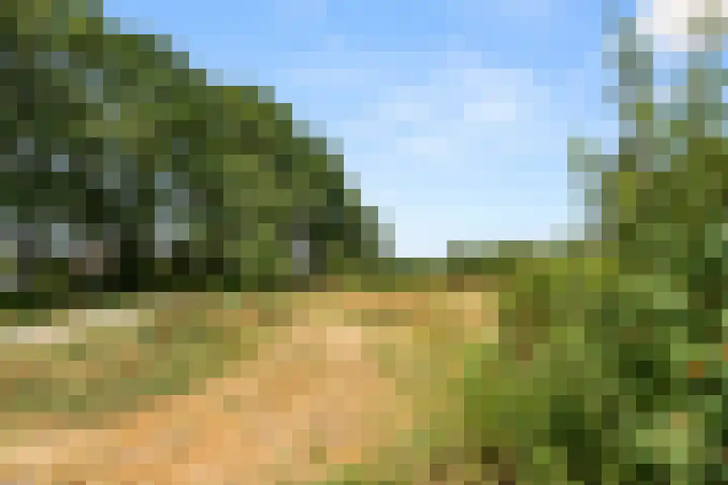 Leudal 141 Ede thumbnail 28
