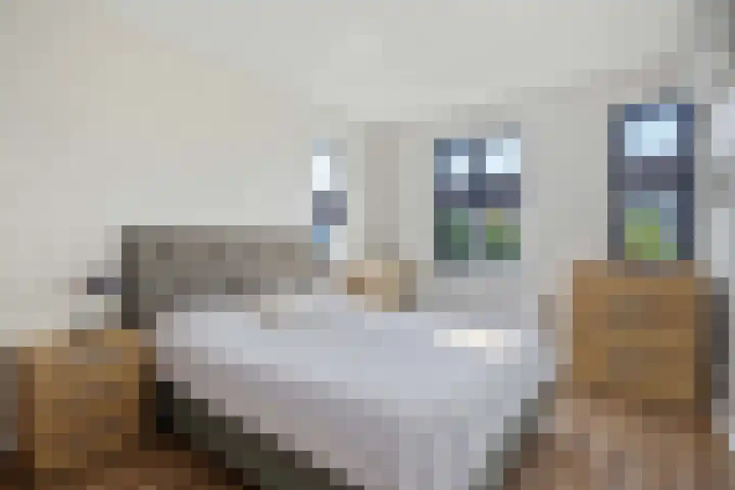 Leudal 40 Ede thumbnail 20