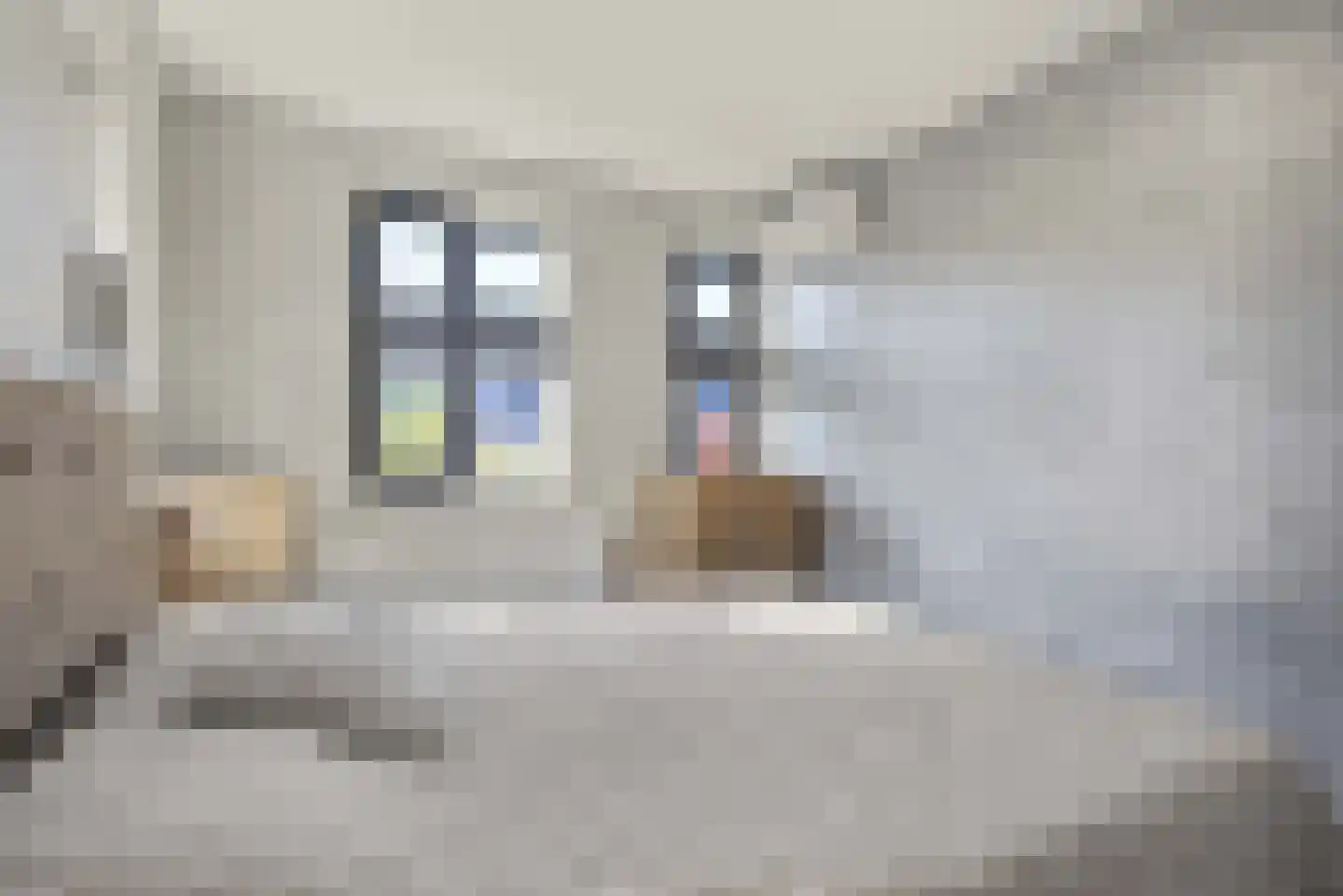 Leudal 40 Ede thumbnail 21