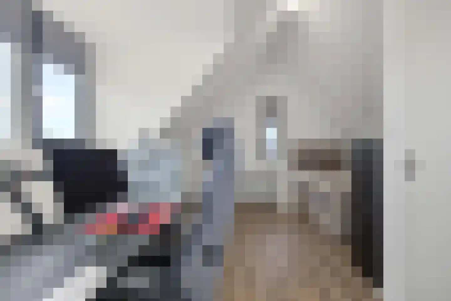 Leudal 40 Ede thumbnail 39