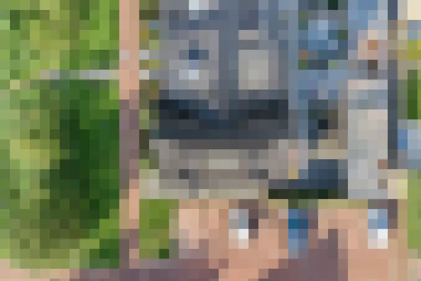 Leudal 40 Ede thumbnail 49