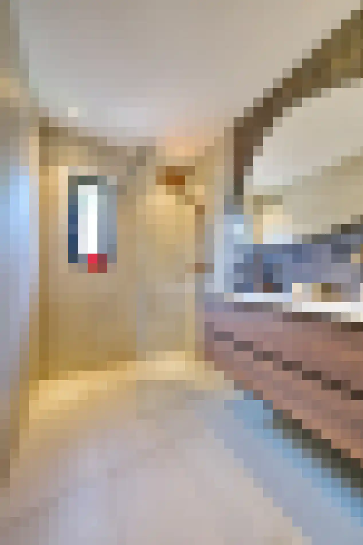 Leudal 48 Ede thumbnail 21
