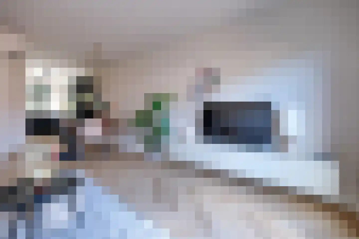 Leudal 48 Ede thumbnail 4