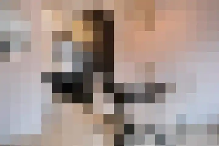 Leudal 52 Ede thumbnail 4