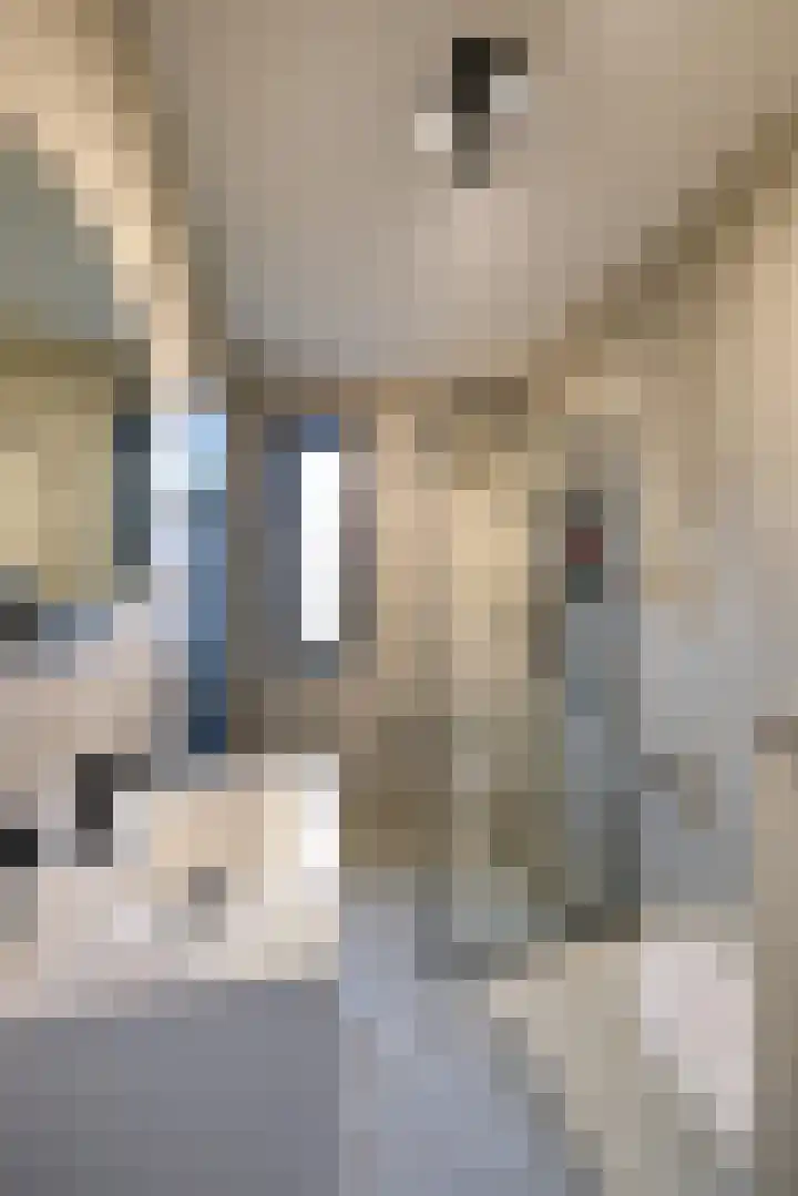 Leudal 52 Ede thumbnail 5