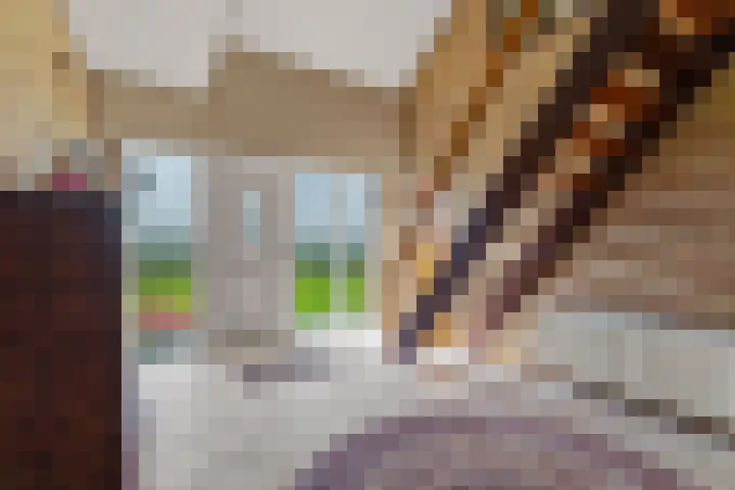 Leuffenseweg 4 Zevenaar thumbnail 5