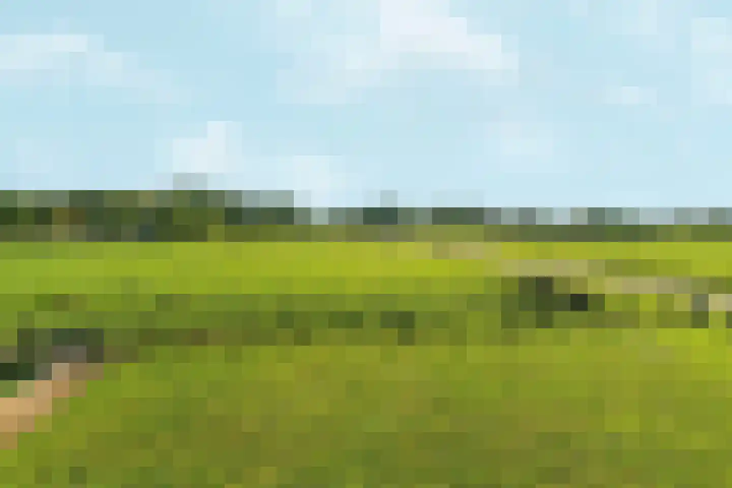 Leuffenseweg 4 Zevenaar thumbnail 53
