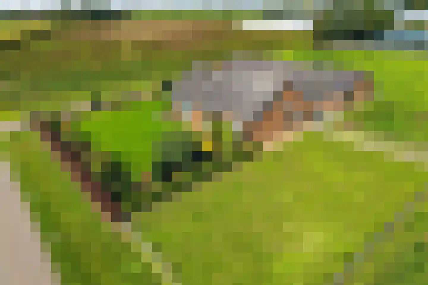 Leuffenseweg 4 Zevenaar thumbnail 8