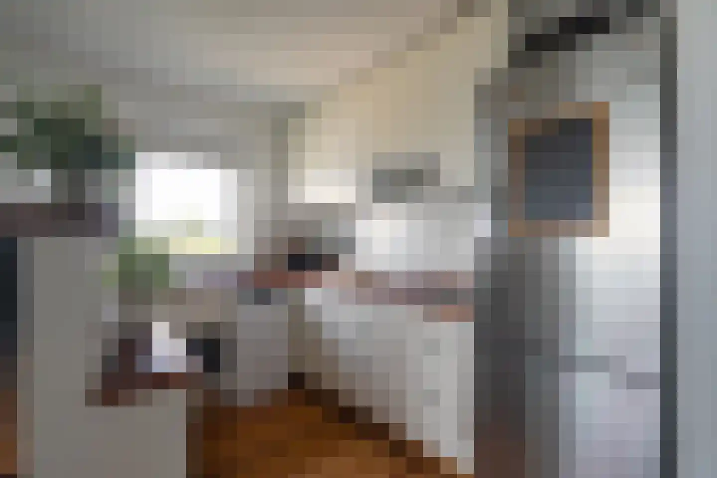 Leugaruwe 1 K Maastricht thumbnail 8