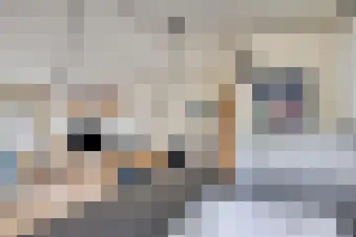 Leugaruwe 5 K Maastricht thumbnail 12