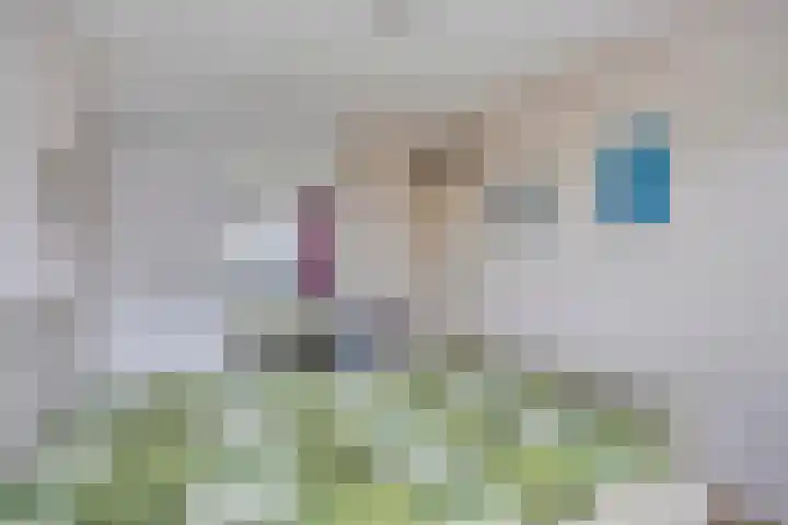 Leugaruwe 5 K Maastricht thumbnail 15