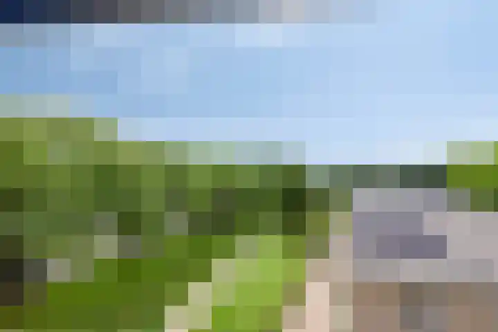 Leugaruwe 5 K Maastricht thumbnail 20