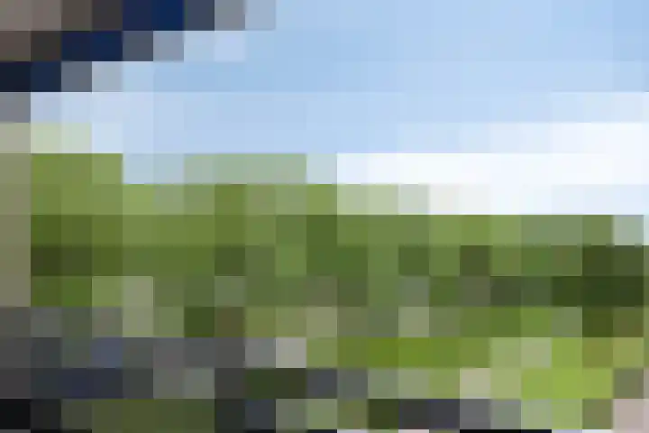 Leugaruwe 5 K Maastricht thumbnail 22
