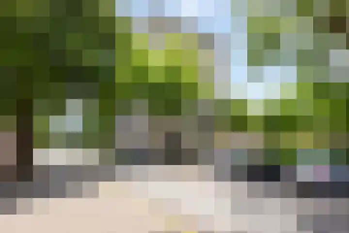 Leugaruwe 5 K Maastricht thumbnail 25