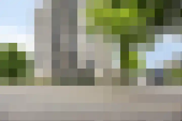 Leugaruwe 5 K Maastricht thumbnail 26