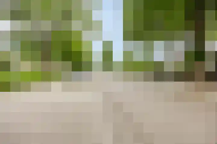 Leugaruwe 5 K Maastricht thumbnail 27