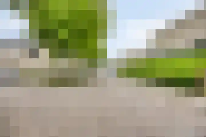 Leugaruwe 5 K Maastricht thumbnail 28