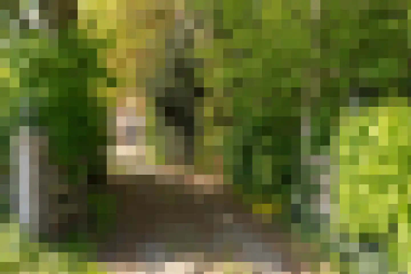 Leugemorsweg 1 Eibergen thumbnail 10