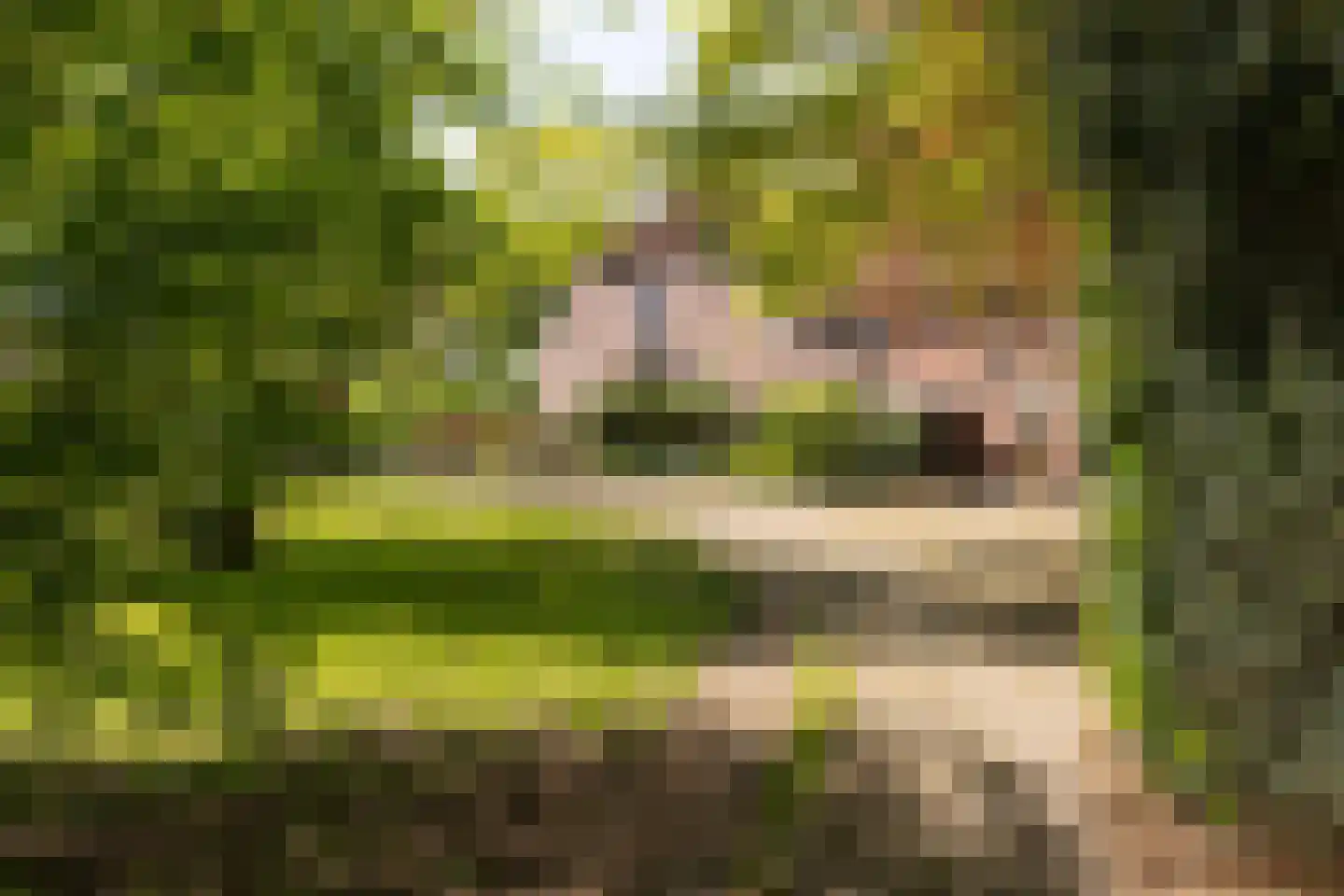 Leugemorsweg 1 Eibergen thumbnail 11