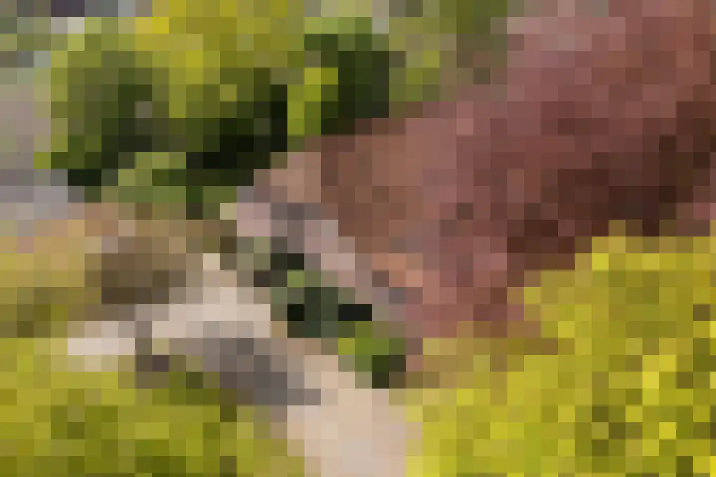 Leugemorsweg 1 Eibergen thumbnail 13