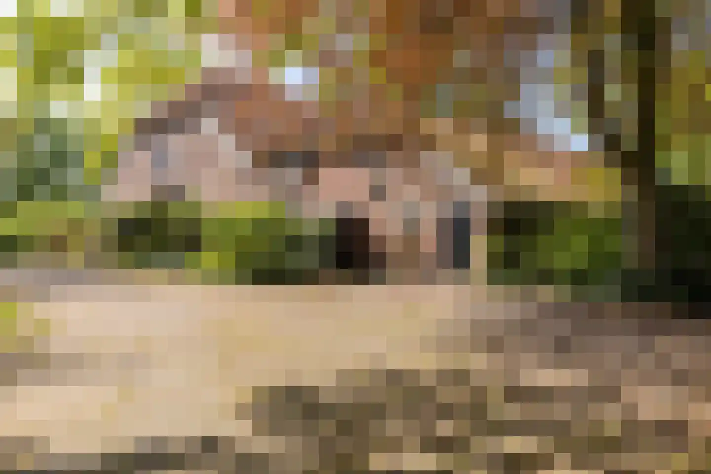 Leugemorsweg 1 Eibergen thumbnail 14