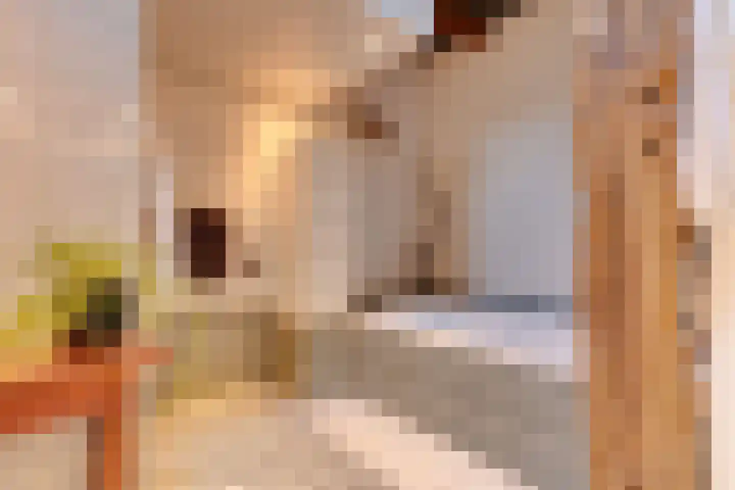 Leugemorsweg 1 Eibergen thumbnail 32