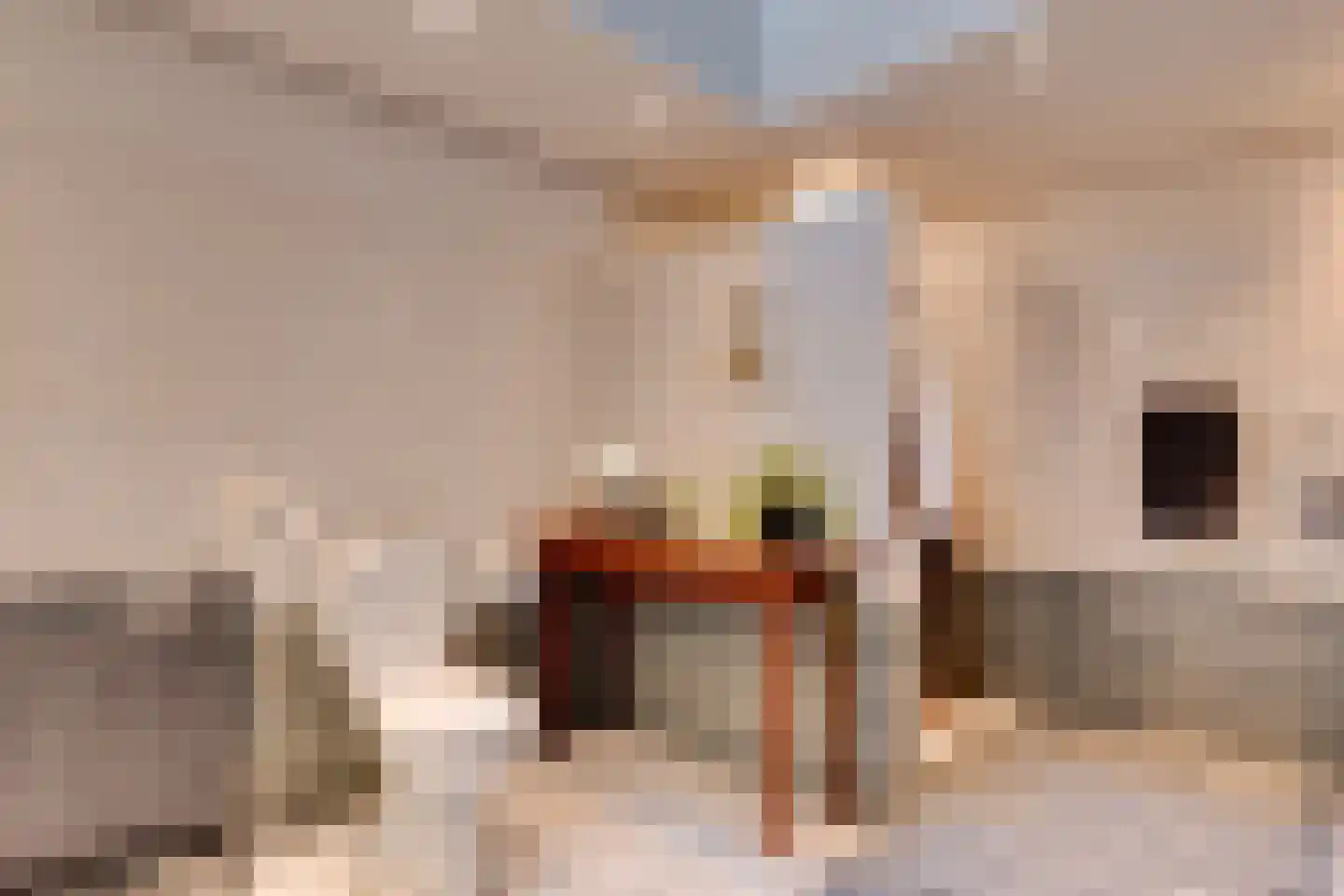Leugemorsweg 1 Eibergen thumbnail 33