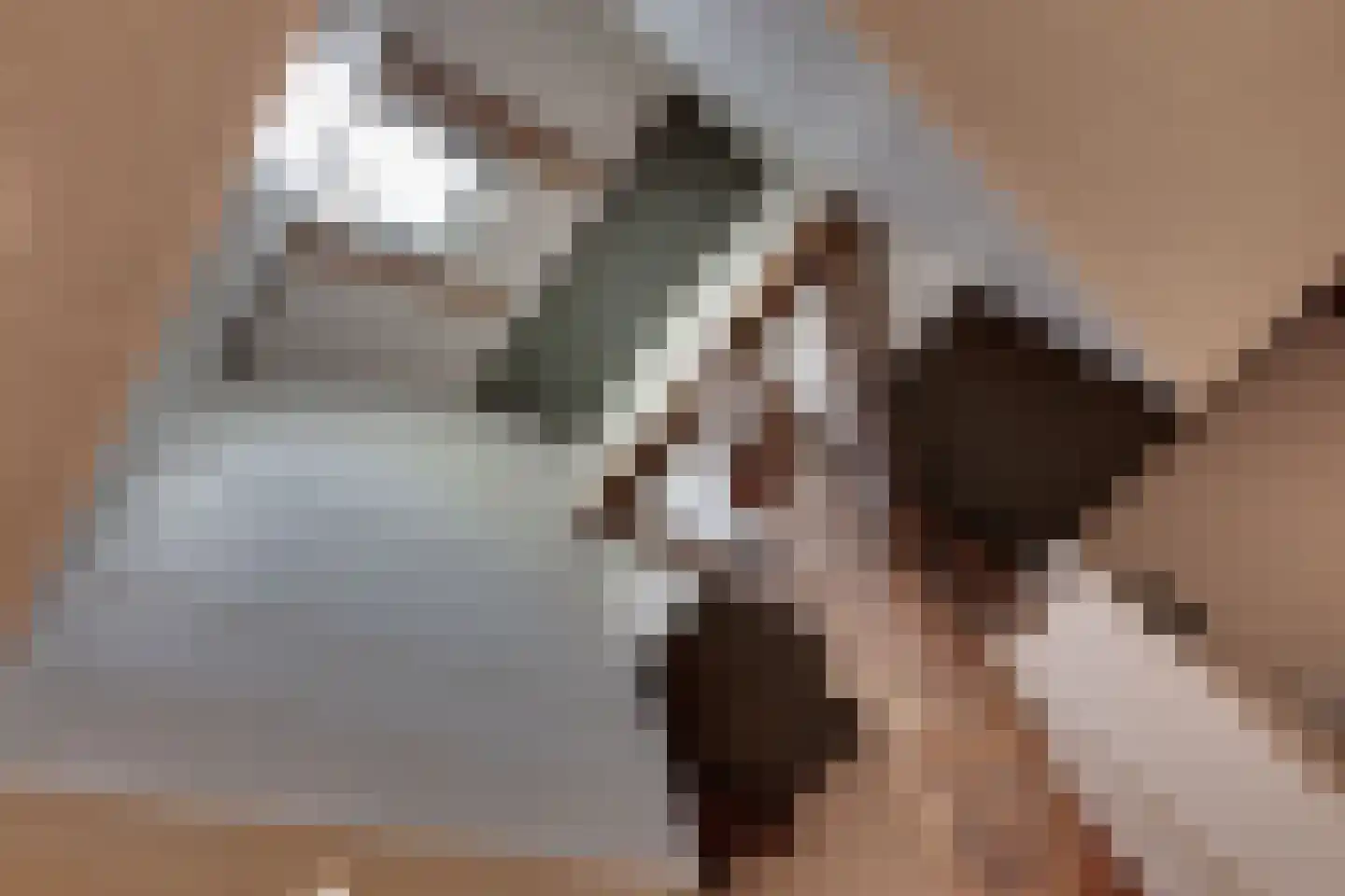 Leugemorsweg 1 Eibergen thumbnail 35