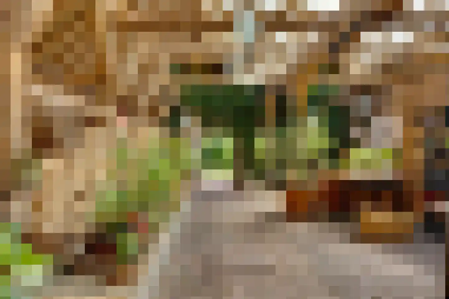Leugemorsweg 1 Eibergen thumbnail 49